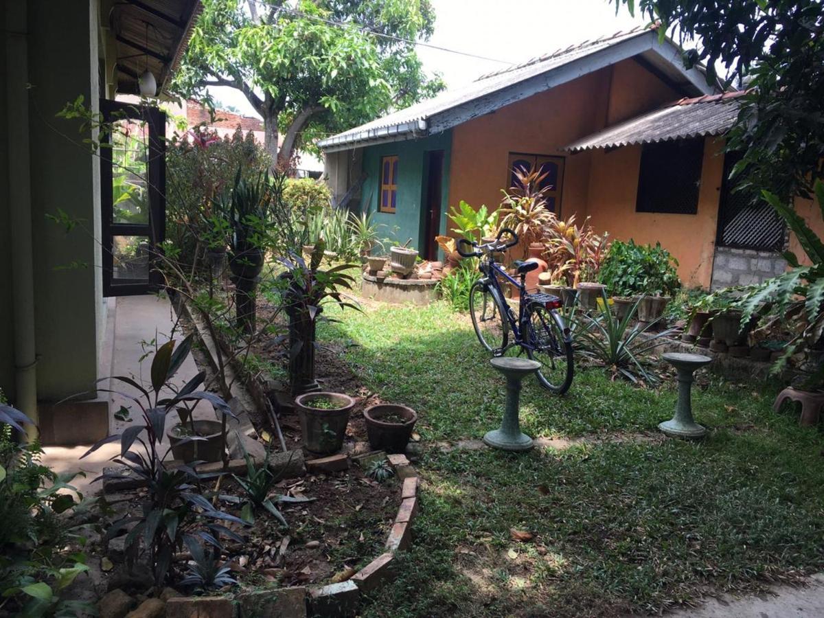 Mazz Homestay Негомбо Екстер'єр фото